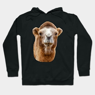 Bactrian camel Hoodie